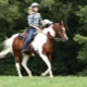 Jazda na koni: výhody, nevýhody a kľúčové odporúčania