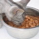 Mad i poser til katte: hvad er det lavet af, og hvor meget skal man give om dagen?