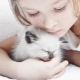 القطط للأطفال: مراجعة لأفضل السلالات