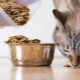 Can cats feed dog food?