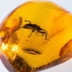 Insects and animals in amber