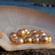 River pearls: features, properties and differences from sea pearls
