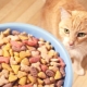 Porównanie karmy dla kotów: klasy, receptury, marki