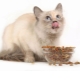 Makanan kering untuk kucing yang disterilkan: sifat, pengeluar, pemilihan dan diet