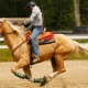 Tipi di galoppo del cavallo e regole di guida
