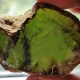 Green amber: what it is, properties, choice and care