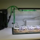 Биофилтър за аквариум: характеристики, видове и приложения
