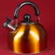 Whistling kettles: types, manufacturers overview and selection features