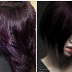 Crno-ljubičasta boja kose: opcije i tehnika bojenja