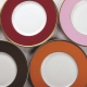 Plattenfarben: mögliche Optionen und Auswahlmerkmale