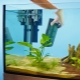 Jak správně nainstalovat filtr do akvária?