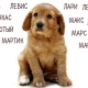 Hoe kies je een bijnaam voor honden van grote rassen?
