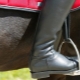 Come scegliere gli stivali da equitazione?
