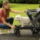 Kereta bayi untuk anjing: jenis, ciri pilihan dan penggunaan