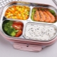 Heated food containers: description, types and tips for choosing