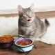 Krmivo pre mačky a mačky: druhy, hodnotenie výrobcov a pravidlá výberu