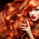 Copper hair color: trendy shades and tips for dyeing
