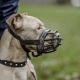 Dog muzzles: types and size selection