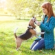 Features of socialization of puppies and adult dogs