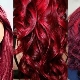 Warna rambut ruby: warna, pilihan pewarna, petua penjagaan