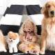 Най-сладките кучета: общи черти, най-добрите породи, избор и грижа