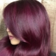 Plum hair color: who is it for and how to get it?