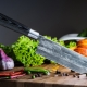 Japonské kuchyňské nože: typy, pravidla výběru a péče