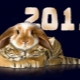2011 - годината на кое животно и какво носи за родените по това време?