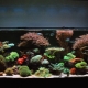 500 literes akváriumok: méretük és bevezetésük