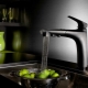 Faucet dapur hitam: jenis, petua untuk memilih dan penjagaan