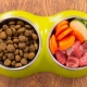 Which is better: natural or dry dog ​​food?