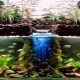 Filtres phyto pour un aquarium : but et variétés, faites-le vous-même