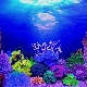 Aquarium background: types, selection and installation