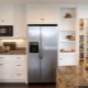 Lednička v kuchyni: kde ji můžete nainstalovat v interiéru?