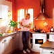 Interesting kitchen design options with a heating boiler