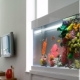 Umjetni akvarij: vrste i primjena