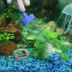 How to make a siphon for an aquarium with your own hands?