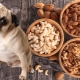What nuts can and cannot be given to dogs?