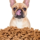 Maistas seniems šunims: kas tai yra ir kaip išsirinkti tinkamą?