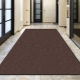 Carpets in the hallway: varieties, selection, care, examples