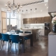 Bucătărie-sufragerie: aspect și exemple de design interior