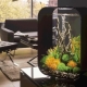 Malá akvária: vlastnosti, odrůdy, výběr a osídlení