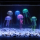Bir akvaryumdaki denizanası: bunlar nedir ve nasıl tutulur?