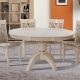 Ovalni klizni stolovi u kuhinji: mogućnosti dizajna i savjeti za odabir