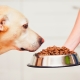 Berapa banyak makanan kering yang perlu anda berikan kepada anjing anda sehari?