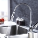 ก๊อกน้ำห้องครัวพร้อมรางน้ำแบบยืดหยุ่น: คำอธิบาย ประเภท และการเลือก