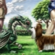 Compatibilitatea dragonilor și câinilor în diferite aspecte ale vieții