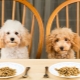 Comparison of different food classes for dogs