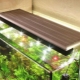 LED lights for aquarium: features, selection and application