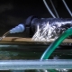 Máy khử trùng UV cho bể cá: tính năng, lựa chọn và sử dụng